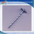 Stainless Steel Roofing Nails with Plastic Washer